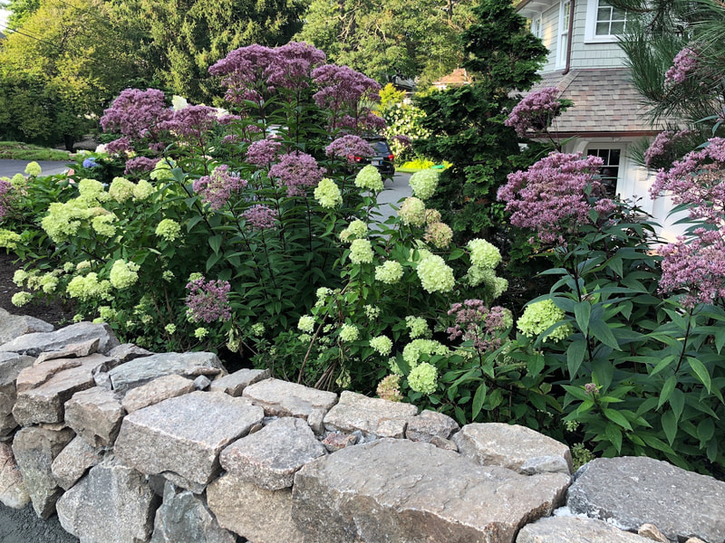 An image of Landscape Design Services in Marblehead, MA
